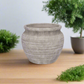 Della Cement Pot