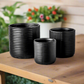 Paloma Ceramic Round Planter Set (Set of 3)