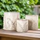 Floris Distressed Ivory Planter Set (Set of 3)