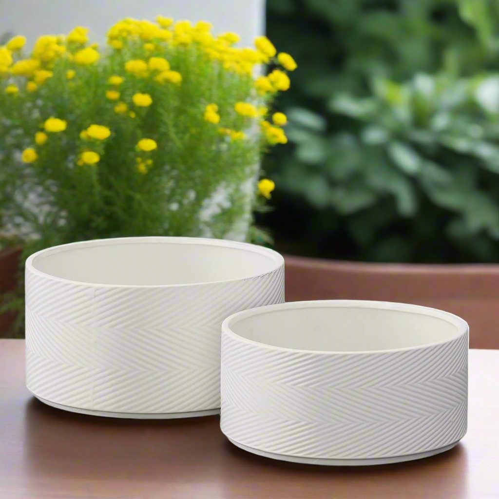 Petra Ceramic Round Wide Planter Set (Set of 2)