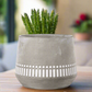 Talia Cement Tribal Round Pot