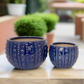 Zerina Ceramic Planter Set (Set of 2)