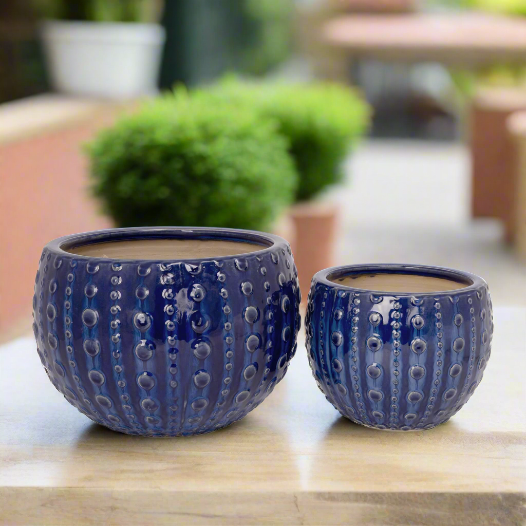 Zerina Ceramic Planter Set (Set of 2)