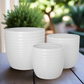 Loryne Layered Banded Planter Set (Set of 3)