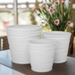Lazven Embossed Vector Planter Set (Set of 3)