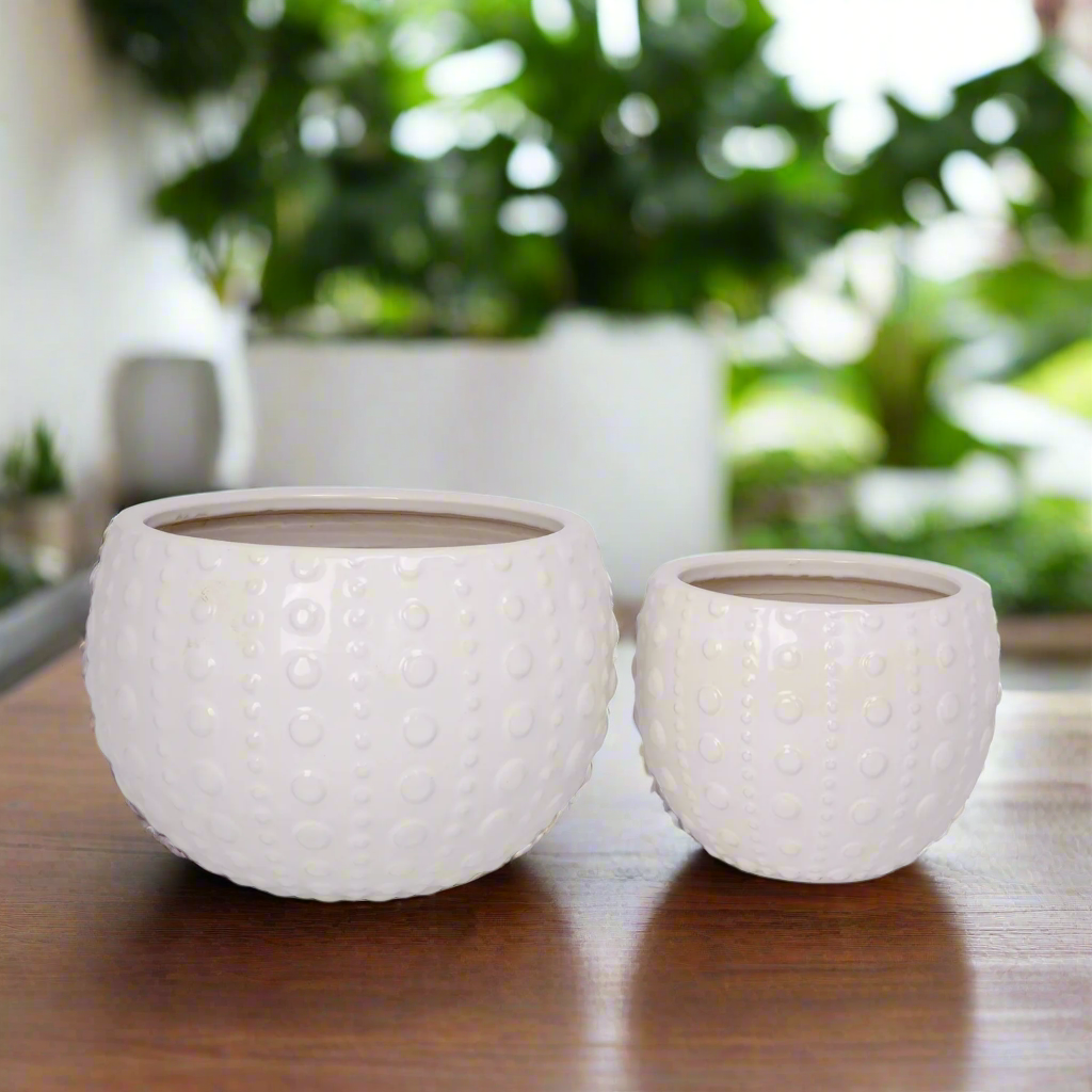 Zerina Ceramic Planter Set (Set of 2)