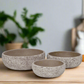 Orva Moss Green Cement Flower Pot Set (Set of 3)