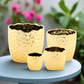 Portina Ceramic Round Planter Set (Set of 4)