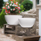 Ceylin Low Oval Ceramic Planter Set (Set of 2)