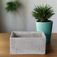 Glenda Cement Square Pot
