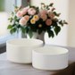 Zerel Diamond Burst Ceramic Planter Set (Set of 2)