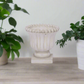 Etta Cement Urn Planter