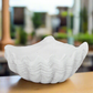 Emeighleigh Polyresin Shell Planter