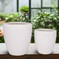 Zylar White Gloss Ceramic Planter Set (Set of 2)