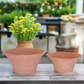 Piper Terracotta Round Planter Set (Set of 2)
