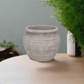 Della Cement Pot