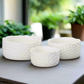 Kyros Hammered Ceramic Planter Set (Set of 3)