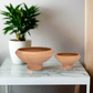Solterra Terracotta Pottery (Set of 2)