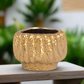 Bella Stoneware Gold Pot