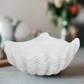 Emeighleigh Polyresin Shell Planter