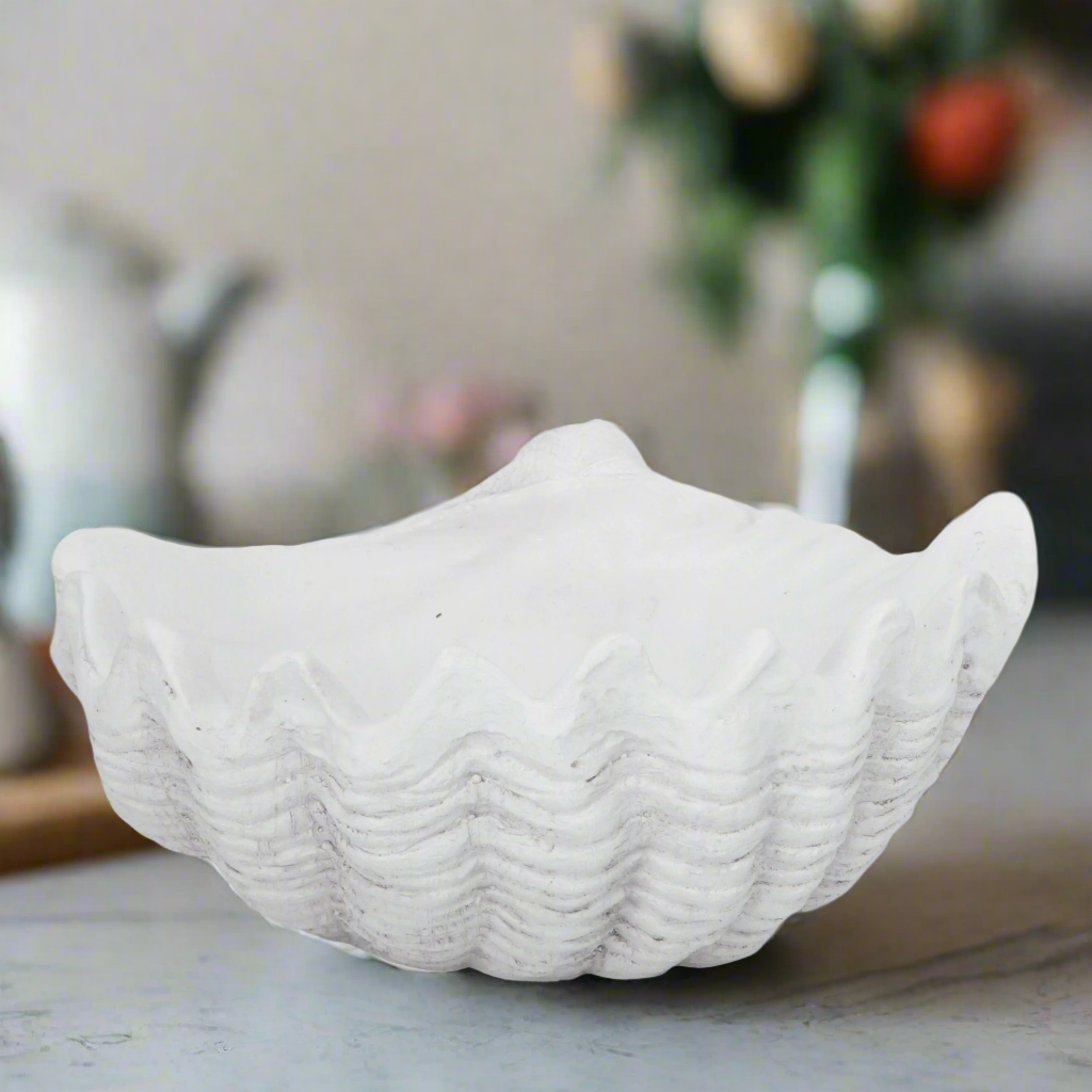 Emeighleigh Polyresin Shell Planter