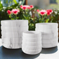 Celine Ceramic Round Planter Set (Set of 3)