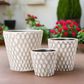 Valora Oval Pattern Ceramic Planter Set (Set of 3)