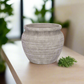 Della Cement Pot