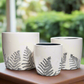 Priscilla Ceramic Round Planter Set (Set of 3)