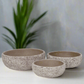 Orva Moss Green Cement Flower Pot Set (Set of 3)