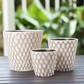 Valora Oval Pattern Ceramic Planter Set (Set of 3)