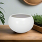 Axelle White Ceramic Planter