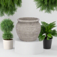 Della Cement Pot
