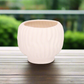 Alyzzabeth Ceramic Ridged Pot