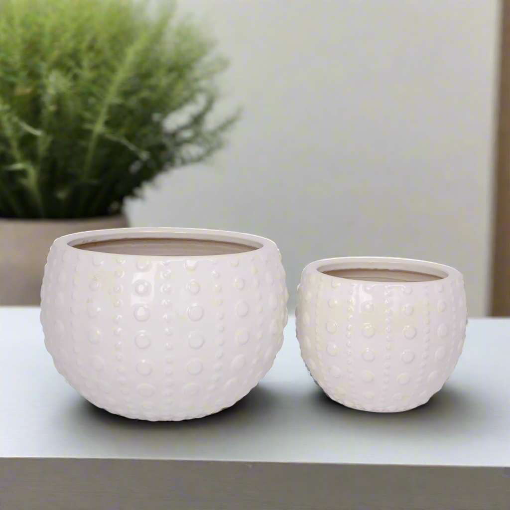Zerina Ceramic Planter Set (Set of 2)