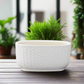 Vivienne Ceramic Low Oval Pot