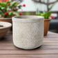 Zinnia Cement Basket Weave Round Pot