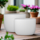 Dovara Symmetry Oval Ceramic Planter Set (Set of 2)