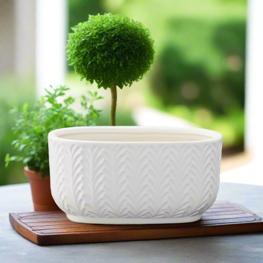 Vivienne Ceramic Low Oval Pot