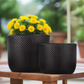 Dovara Symmetry Oval Ceramic Planter Set (Set of 2)