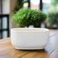 Vivienne Ceramic Low Oval Pot