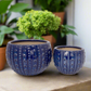 Zerina Ceramic Planter Set (Set of 2)