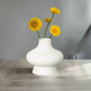 Ivy Ceramic Bellied Vase