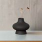 Ivy Ceramic Bellied Vase