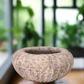 Winslow Terracotta Planter Set