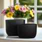 Deyara Embossed Diamond Oval Planter Set (Set of 2)