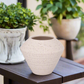 Lucille Ceramic Sandstone Pot