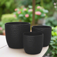 Faye Ceramic Round Planter Set (Set of 3)