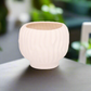 Alyzzabeth Ceramic Ridged Pot
