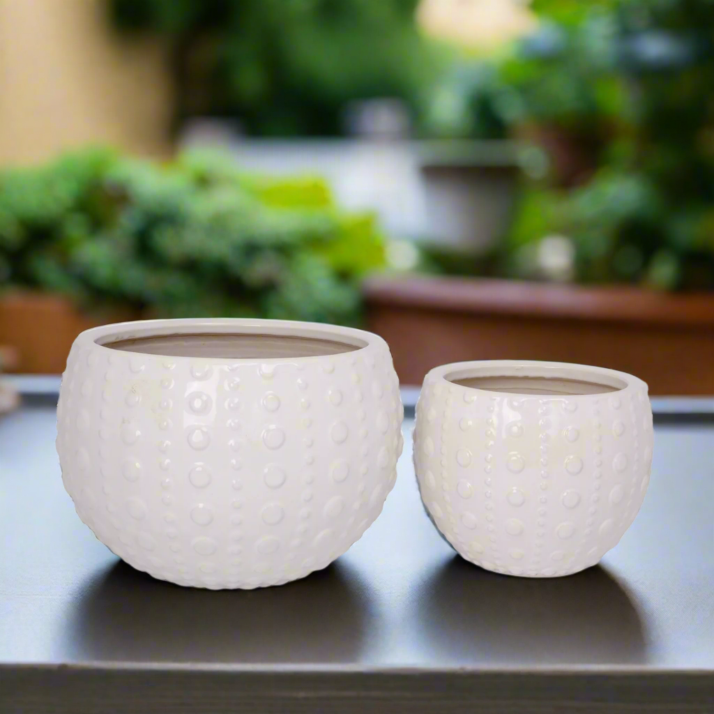 Zerina Ceramic Planter Set (Set of 2)